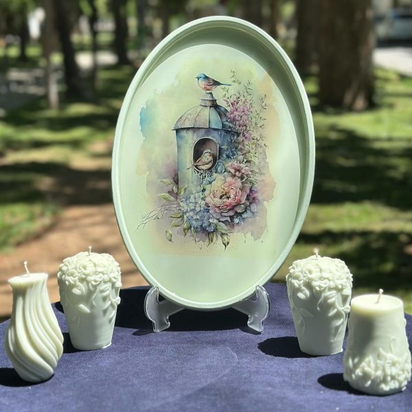سینی بیضی جوجه